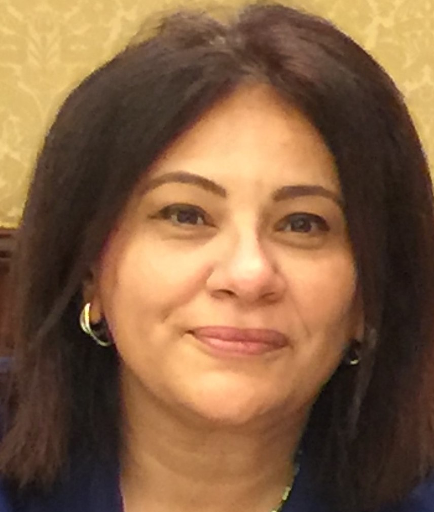 Maha Hamed- SIG Chair